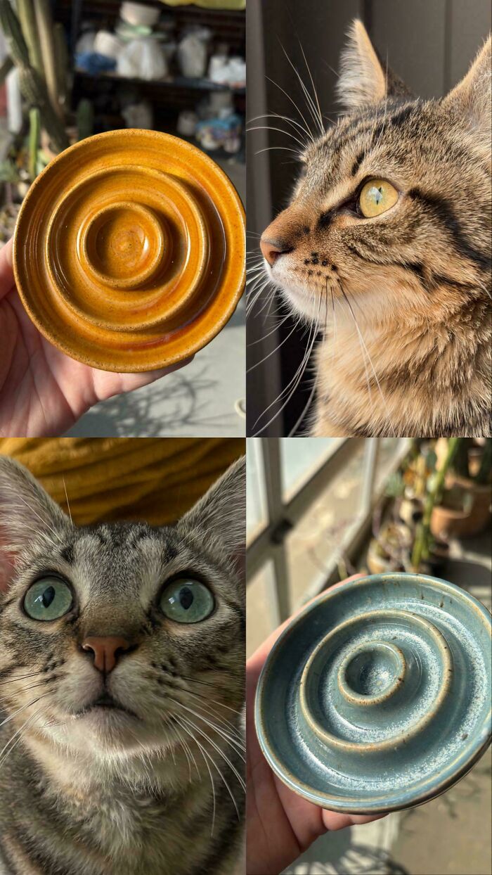 80 Beautiful Pottery Creations That Prove Creativity Has Absolutely No Limits (New Pics)