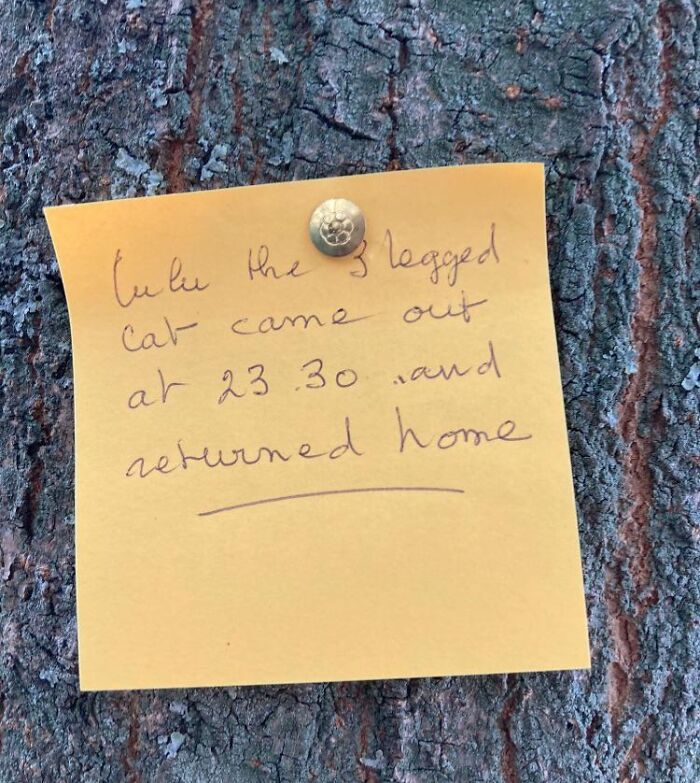 &ldquo;Found Paper&rdquo;: 50 Lost And Forgotten Messages That People Discovered Out In The World