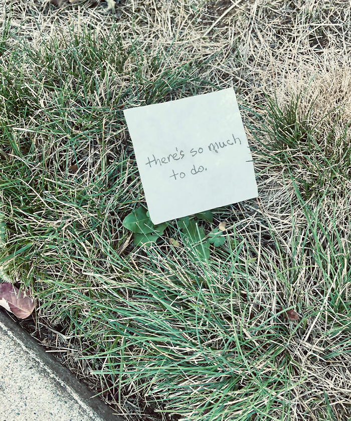 &ldquo;Found Paper&rdquo;: 50 Lost And Forgotten Messages That People Discovered Out In The World