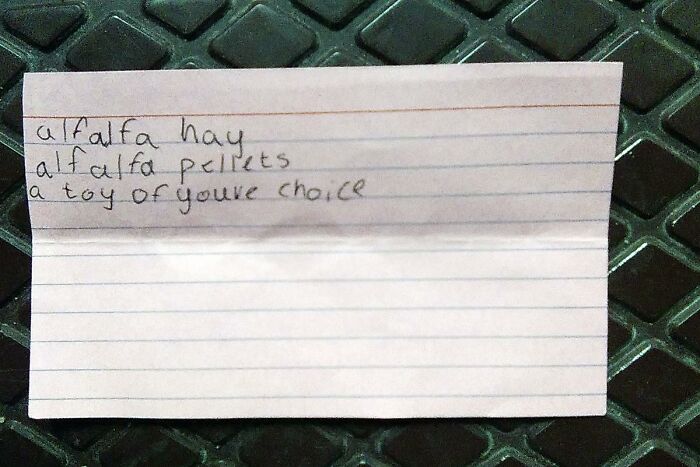 &ldquo;Found Paper&rdquo;: 50 Lost And Forgotten Messages That People Discovered Out In The World