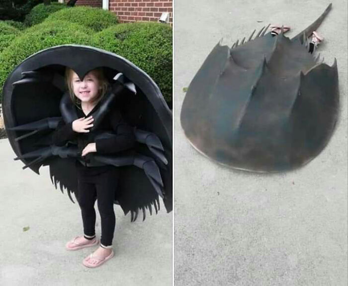 81 Kids Whose Halloween Costumes Deserved Their Own Red Carpet