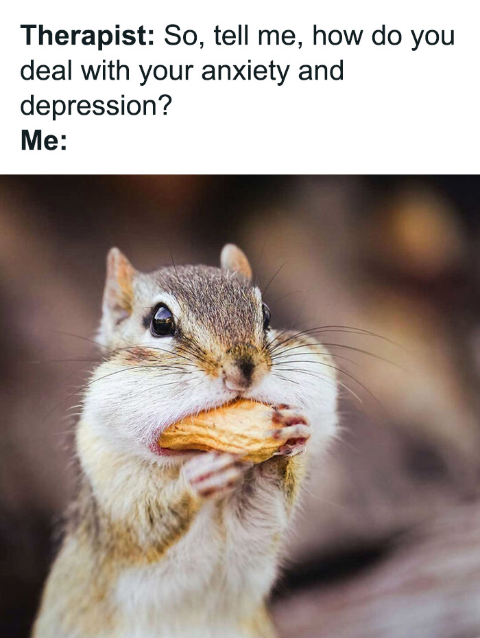 88 Amusing, Cute, And Incredibly Relatable Animal Memes To Make Your Day