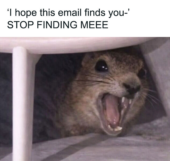 88 Amusing, Cute, And Incredibly Relatable Animal Memes To Make Your Day