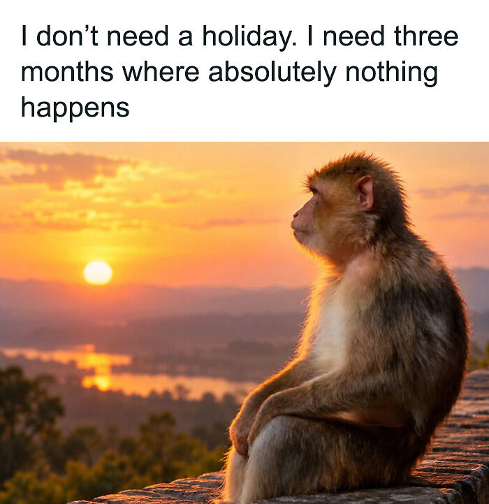 88 Amusing, Cute, And Incredibly Relatable Animal Memes To Make Your Day