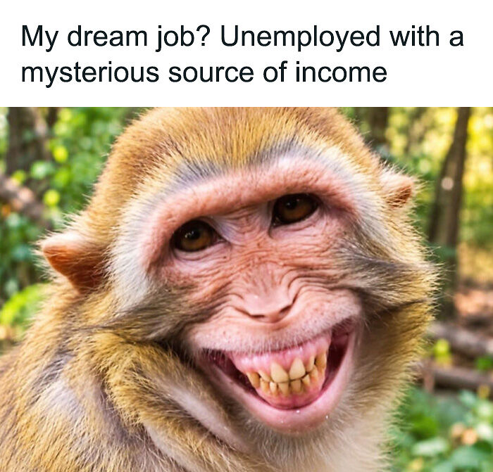 88 Amusing, Cute, And Incredibly Relatable Animal Memes To Make Your Day