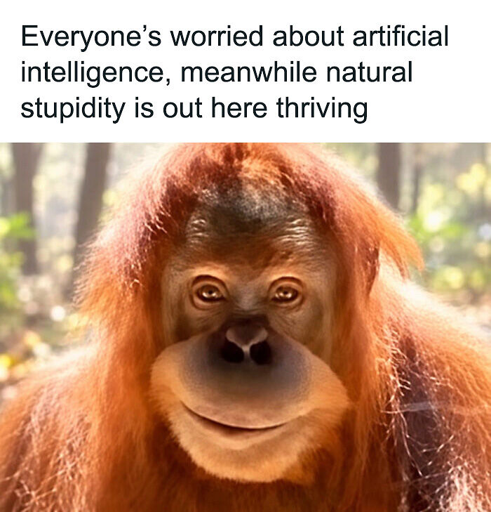 88 Amusing, Cute, And Incredibly Relatable Animal Memes To Make Your Day