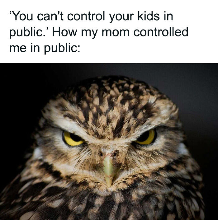 88 Amusing, Cute, And Incredibly Relatable Animal Memes To Make Your Day