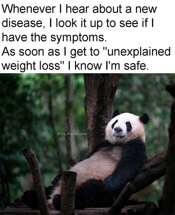 88 Amusing, Cute, And Incredibly Relatable Animal Memes To Make Your Day