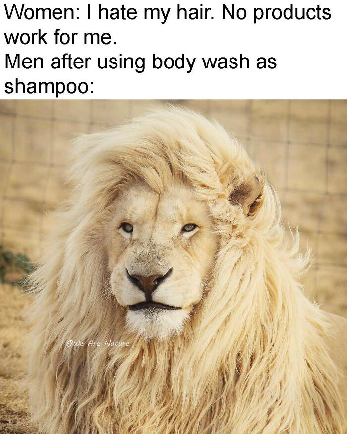 88 Amusing, Cute, And Incredibly Relatable Animal Memes To Make Your Day