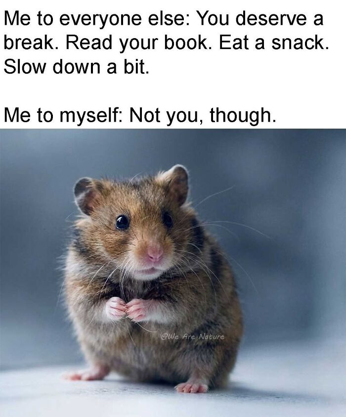 88 Amusing, Cute, And Incredibly Relatable Animal Memes To Make Your Day