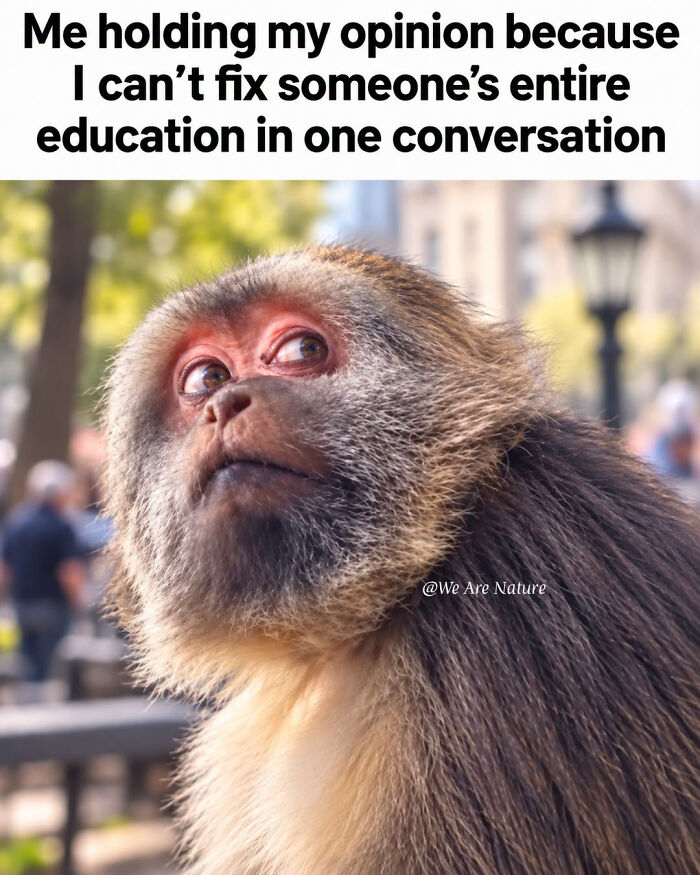 88 Amusing, Cute, And Incredibly Relatable Animal Memes To Make Your Day