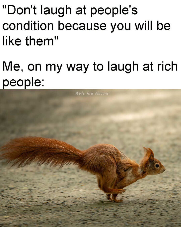 88 Amusing, Cute, And Incredibly Relatable Animal Memes To Make Your Day