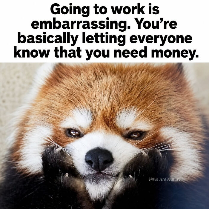 88 Amusing, Cute, And Incredibly Relatable Animal Memes To Make Your Day