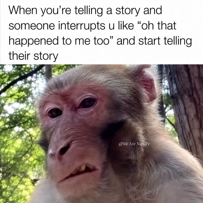 88 Amusing, Cute, And Incredibly Relatable Animal Memes To Make Your Day