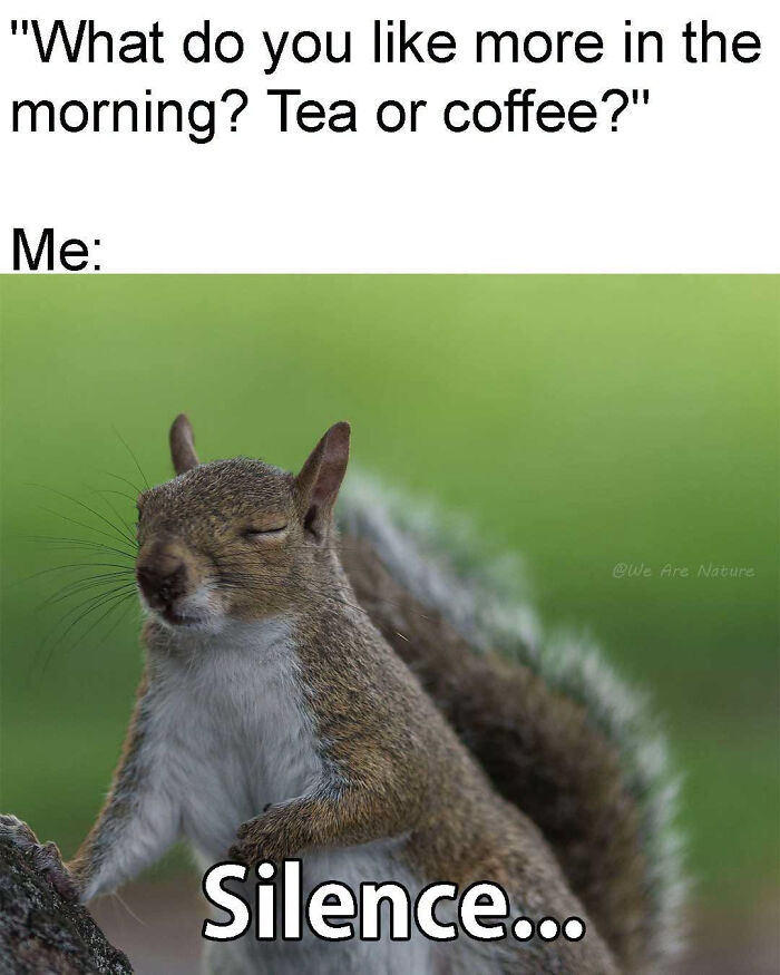 88 Amusing, Cute, And Incredibly Relatable Animal Memes To Make Your Day