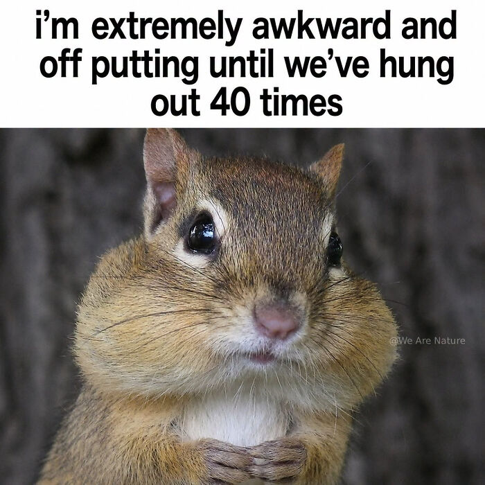 88 Amusing, Cute, And Incredibly Relatable Animal Memes To Make Your Day