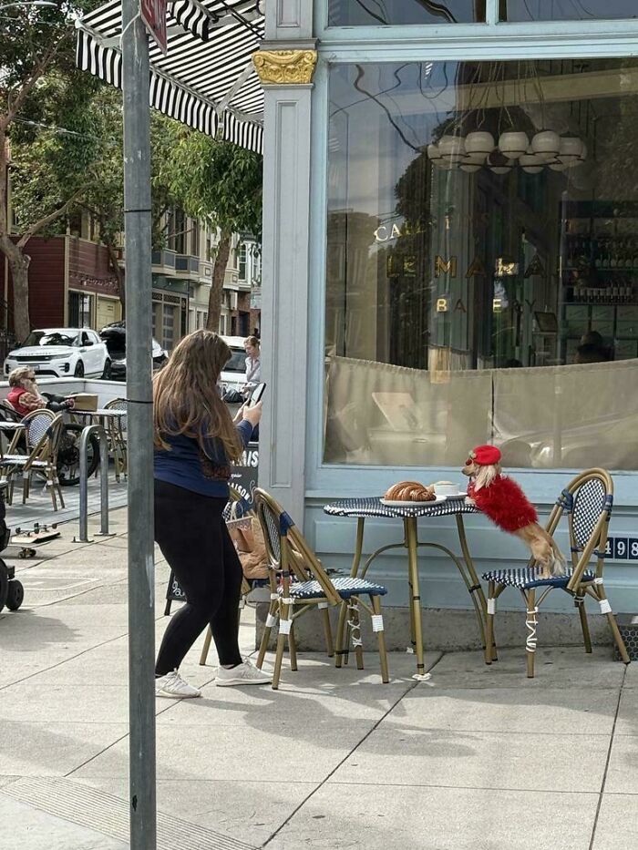 59 Influencers Who Treated Public Spaces Like Their Personal Content Studio