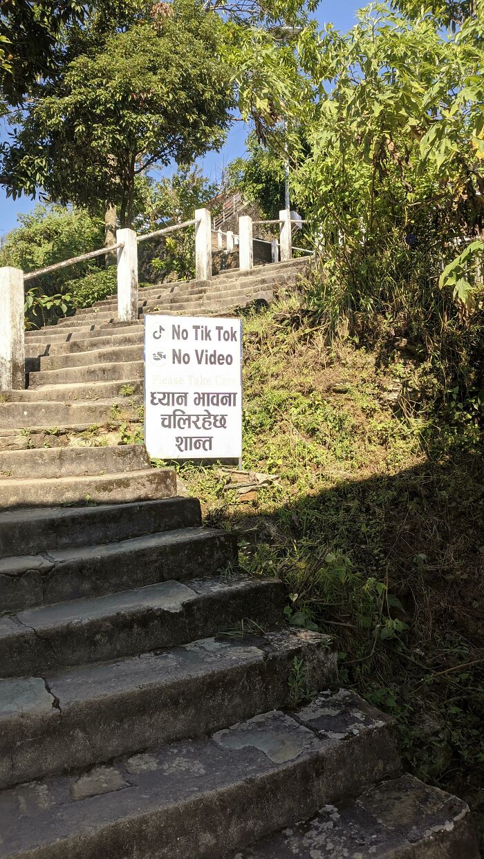 59 Influencers Who Treated Public Spaces Like Their Personal Content Studio