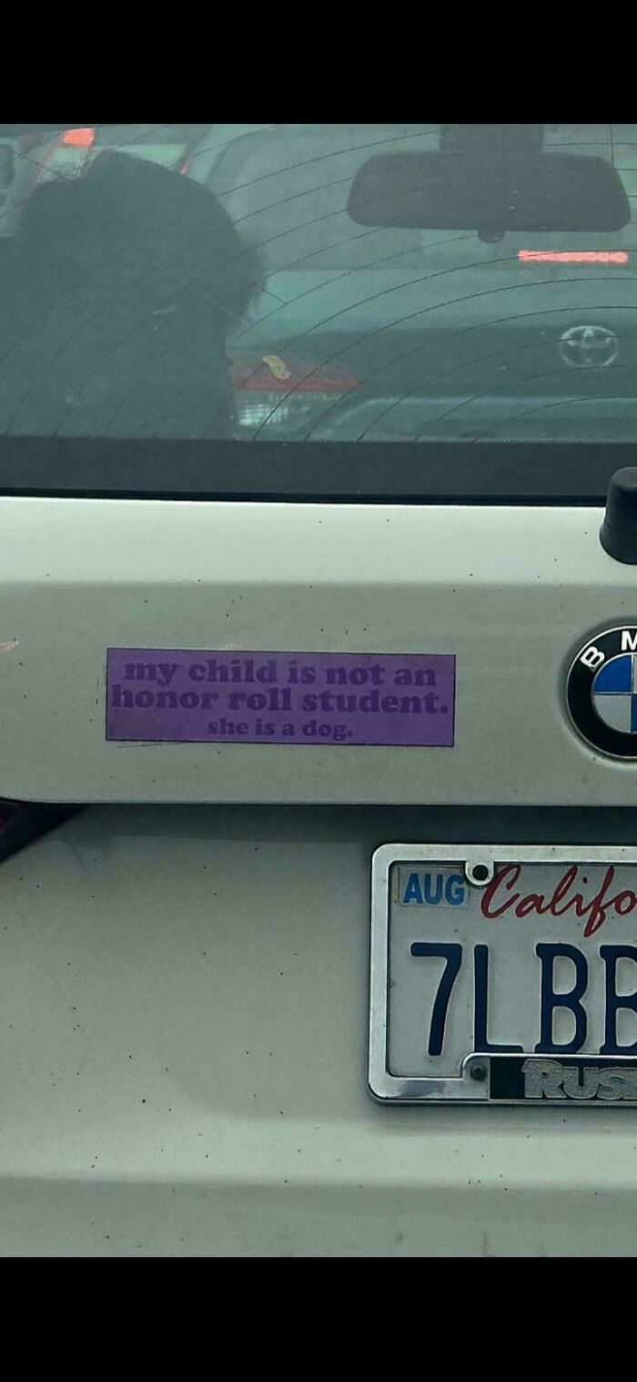 61 Wild Bumper Stickers That Prove Some People Have Absolutely No Filter (New Pics) 61 Wild Bumper Stickers That Prove Some People Have Absolutely No Filter (New Pics)