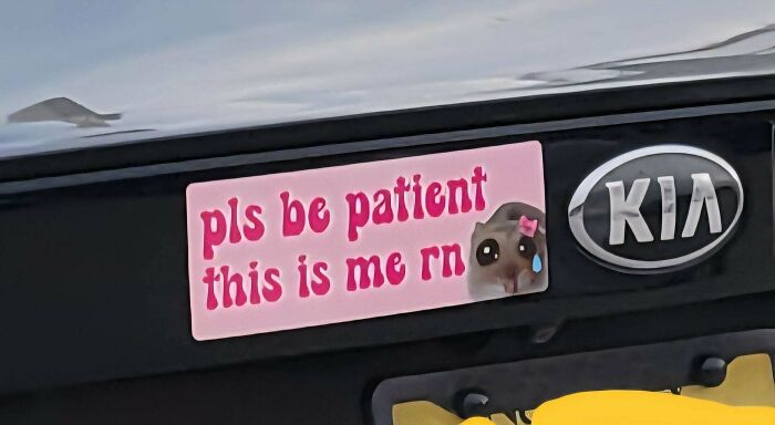 61 Wild Bumper Stickers That Prove Some People Have Absolutely No Filter (New Pics) 61 Wild Bumper Stickers That Prove Some People Have Absolutely No Filter (New Pics)