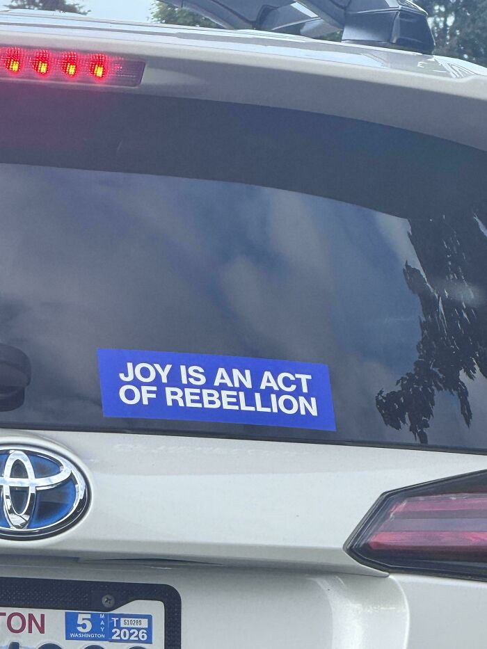 61 Wild Bumper Stickers That Prove Some People Have Absolutely No Filter (New Pics) 61 Wild Bumper Stickers That Prove Some People Have Absolutely No Filter (New Pics)