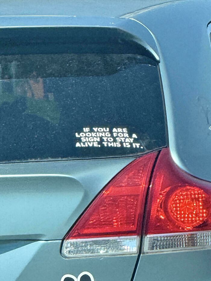 61 Wild Bumper Stickers That Prove Some People Have Absolutely No Filter (New Pics) 61 Wild Bumper Stickers That Prove Some People Have Absolutely No Filter (New Pics)