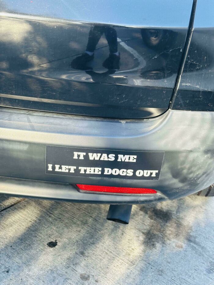61 Wild Bumper Stickers That Prove Some People Have Absolutely No Filter (New Pics) 61 Wild Bumper Stickers That Prove Some People Have Absolutely No Filter (New Pics)