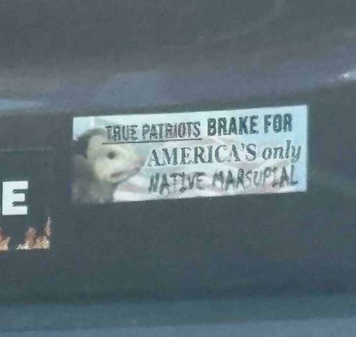 61 Wild Bumper Stickers That Prove Some People Have Absolutely No Filter (New Pics) 61 Wild Bumper Stickers That Prove Some People Have Absolutely No Filter (New Pics)