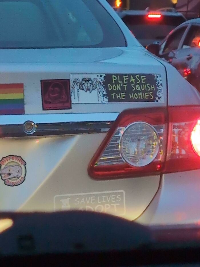 61 Wild Bumper Stickers That Prove Some People Have Absolutely No Filter (New Pics) 61 Wild Bumper Stickers That Prove Some People Have Absolutely No Filter (New Pics)