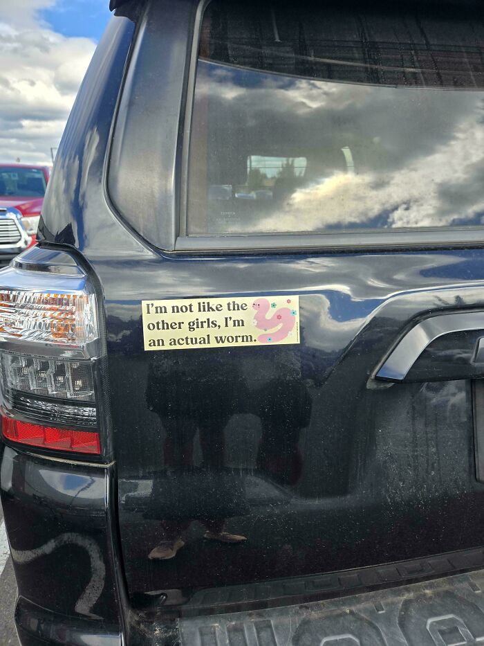 61 Wild Bumper Stickers That Prove Some People Have Absolutely No Filter (New Pics) 61 Wild Bumper Stickers That Prove Some People Have Absolutely No Filter (New Pics)