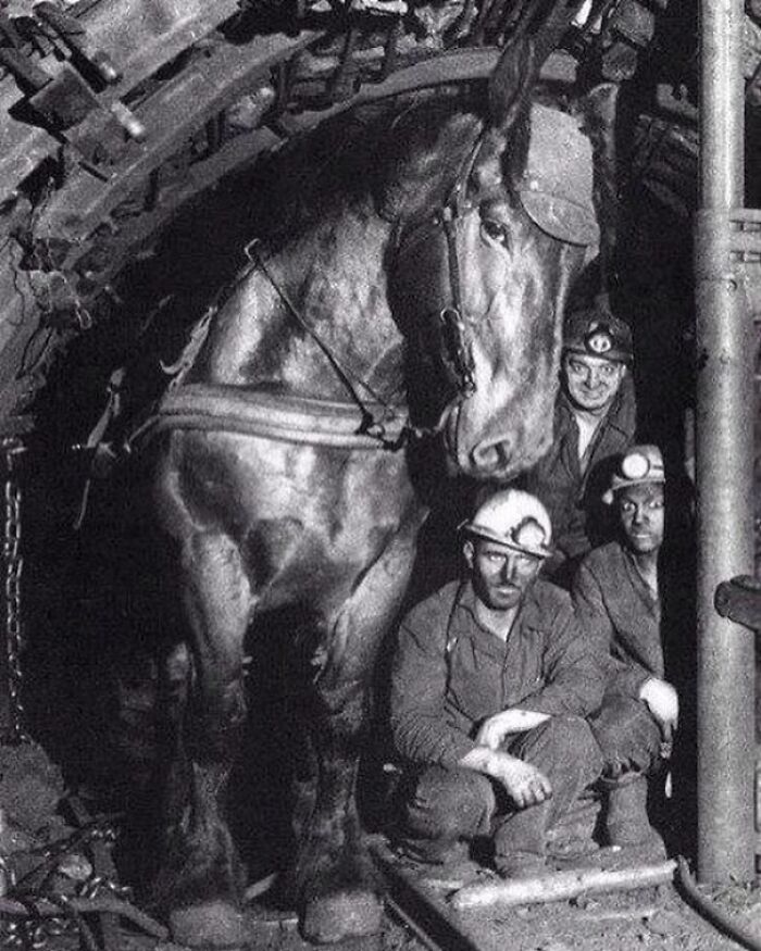 67 Interesting, Weird, And Surprising Facts About The Past That Prove How Cool History Can Be 67 Interesting, Weird, And Surprising Facts About The Past That Prove How Cool History Can Be