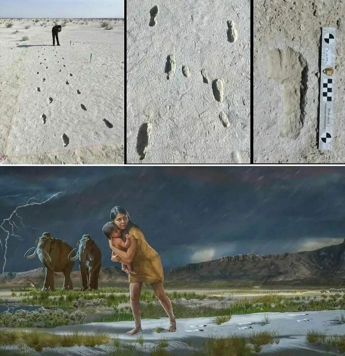 67 Interesting, Weird, And Surprising Facts About The Past That Prove How Cool History Can Be 67 Interesting, Weird, And Surprising Facts About The Past That Prove How Cool History Can Be