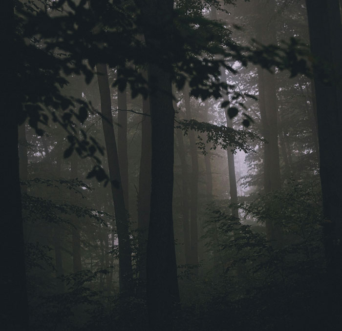 63 Halloween Stories That Were Much Scarier Than Anything People Had Planned 63 Halloween Stories That Were Much Scarier Than Anything People Had Planned