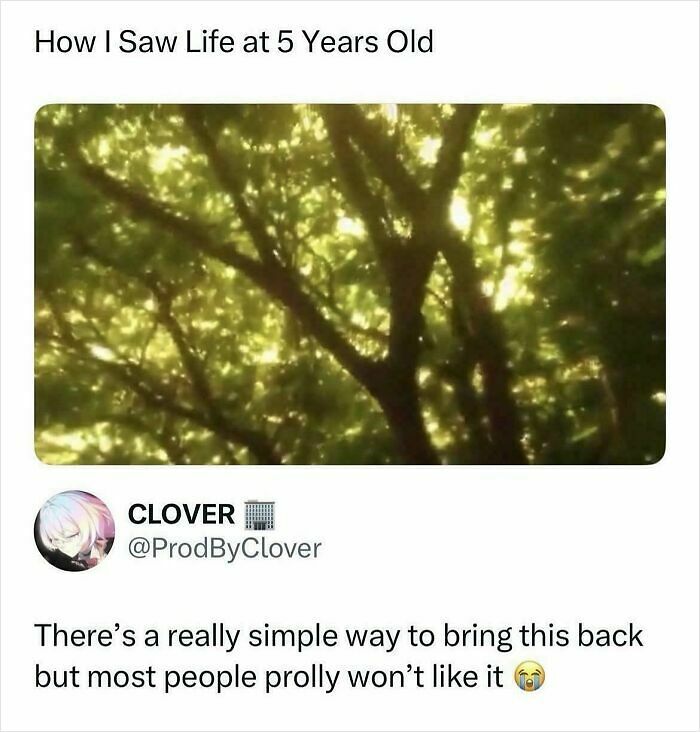 53 Times The Internet Broke Down Complex Memes And Posts So That Everyone Could Understand (New Pics) 53 Times The Internet Broke Down Complex Memes And Posts So That Everyone Could Understand (New Pics)