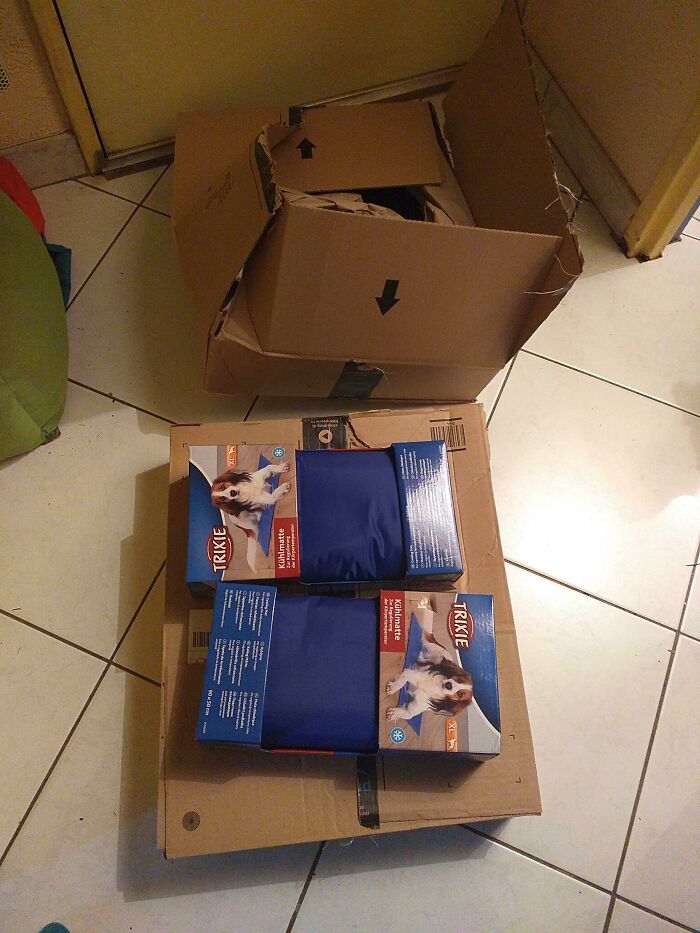 91 Comically Bad Packaging Fails That Customers Just Had To Call Out Online 91 Comically Bad Packaging Fails That Customers Just Had To Call Out Online
