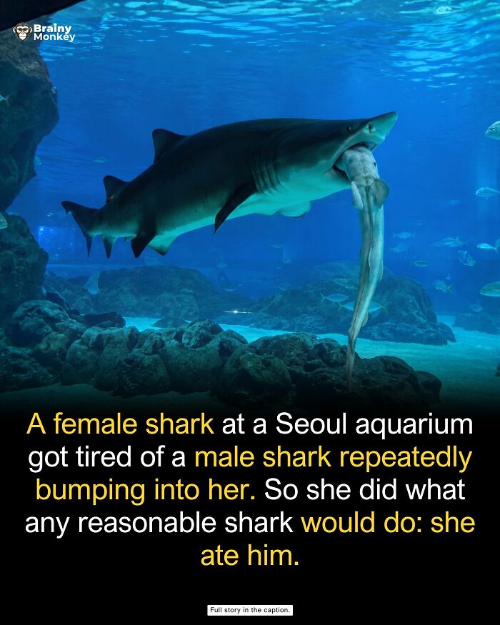63 Wholesome Facts That Might Make The World Feel A Little Less Terrible 63 Wholesome Facts That Might Make The World Feel A Little Less Terrible