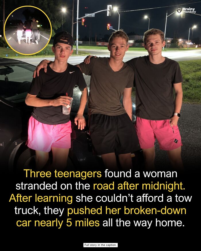 63 Wholesome Facts That Might Make The World Feel A Little Less Terrible 63 Wholesome Facts That Might Make The World Feel A Little Less Terrible