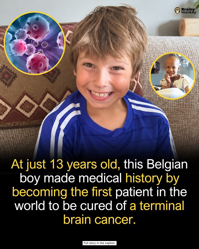 63 Wholesome Facts That Might Make The World Feel A Little Less Terrible 63 Wholesome Facts That Might Make The World Feel A Little Less Terrible