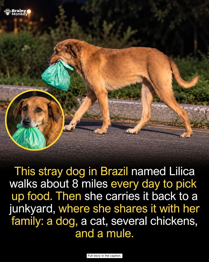63 Wholesome Facts That Might Make The World Feel A Little Less Terrible 63 Wholesome Facts That Might Make The World Feel A Little Less Terrible