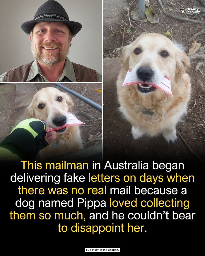 63 Wholesome Facts That Might Make The World Feel A Little Less Terrible 63 Wholesome Facts That Might Make The World Feel A Little Less Terrible