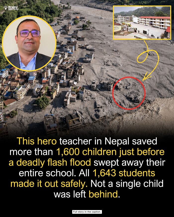 63 Wholesome Facts That Might Make The World Feel A Little Less Terrible 63 Wholesome Facts That Might Make The World Feel A Little Less Terrible