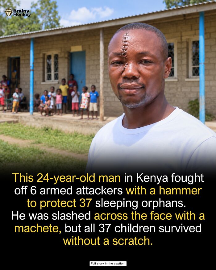 63 Wholesome Facts That Might Make The World Feel A Little Less Terrible 63 Wholesome Facts That Might Make The World Feel A Little Less Terrible