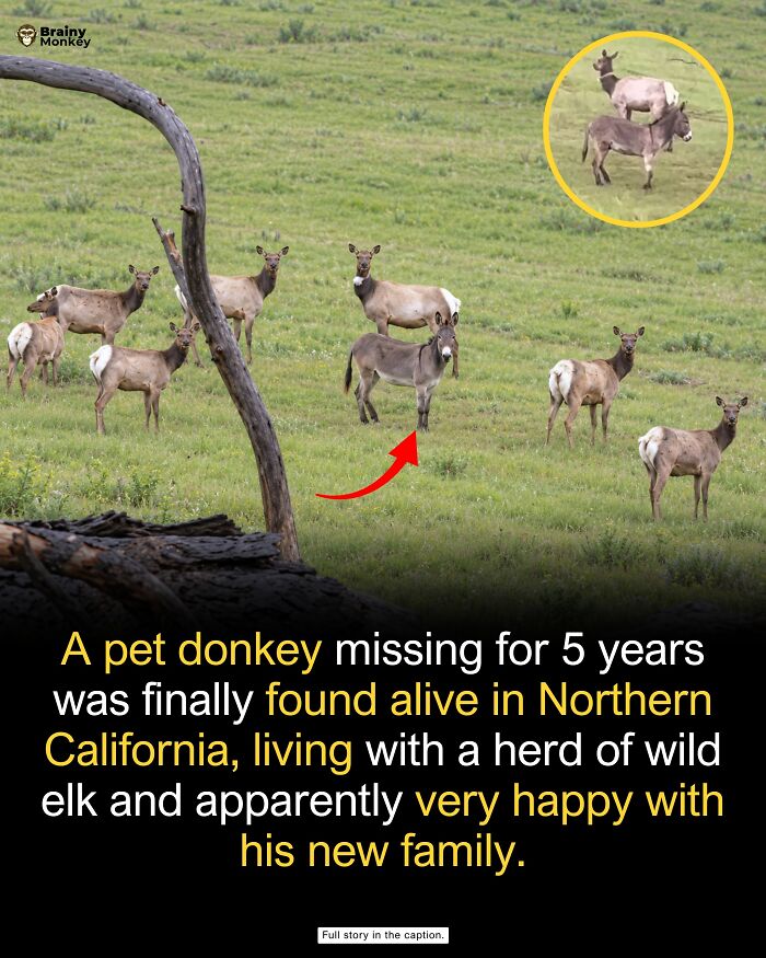 63 Wholesome Facts That Might Make The World Feel A Little Less Terrible 63 Wholesome Facts That Might Make The World Feel A Little Less Terrible