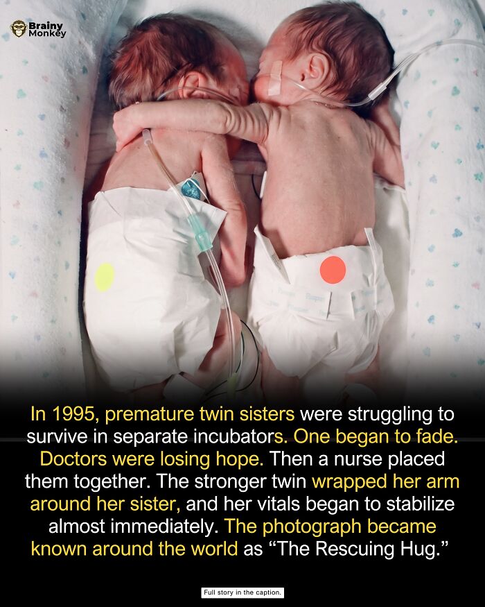 63 Wholesome Facts That Might Make The World Feel A Little Less Terrible 63 Wholesome Facts That Might Make The World Feel A Little Less Terrible