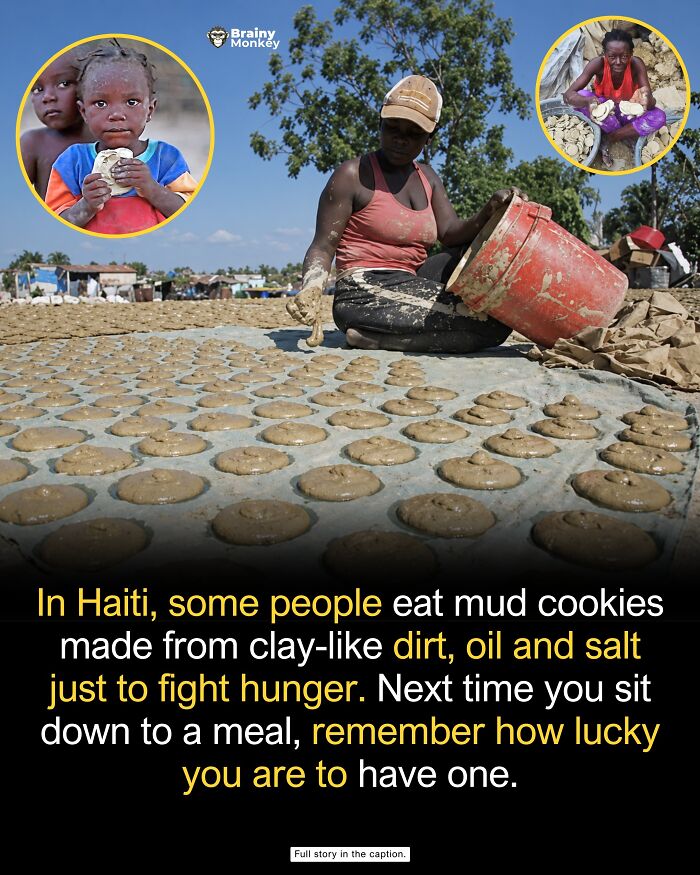63 Wholesome Facts That Might Make The World Feel A Little Less Terrible 63 Wholesome Facts That Might Make The World Feel A Little Less Terrible