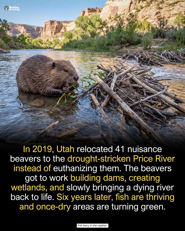 63 Wholesome Facts That Might Make The World Feel A Little Less Terrible 63 Wholesome Facts That Might Make The World Feel A Little Less Terrible
