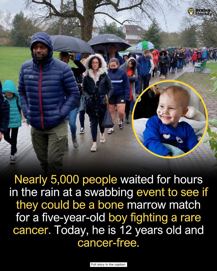 63 Wholesome Facts That Might Make The World Feel A Little Less Terrible 63 Wholesome Facts That Might Make The World Feel A Little Less Terrible