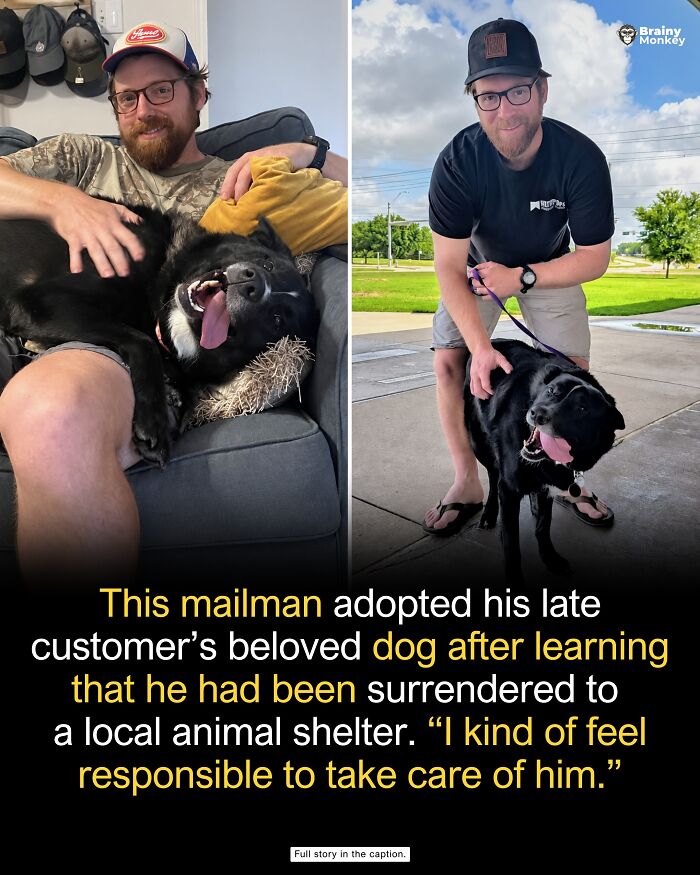 63 Wholesome Facts That Might Make The World Feel A Little Less Terrible 63 Wholesome Facts That Might Make The World Feel A Little Less Terrible