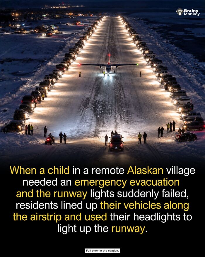 63 Wholesome Facts That Might Make The World Feel A Little Less Terrible 63 Wholesome Facts That Might Make The World Feel A Little Less Terrible