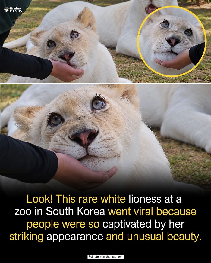 63 Wholesome Facts That Might Make The World Feel A Little Less Terrible 63 Wholesome Facts That Might Make The World Feel A Little Less Terrible